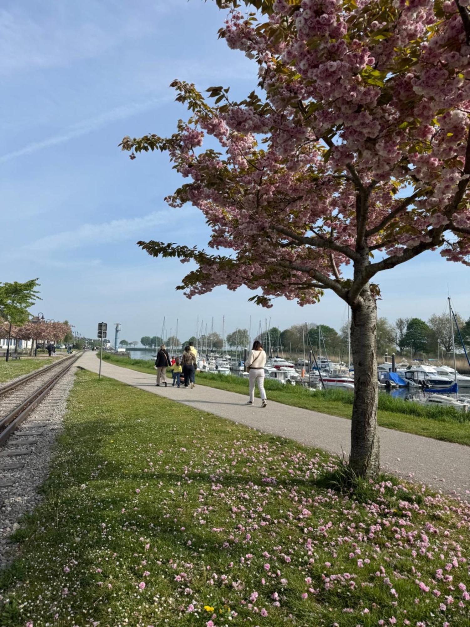 Gite Du Flot - Baie De Somme Boismont  Bagian luar foto